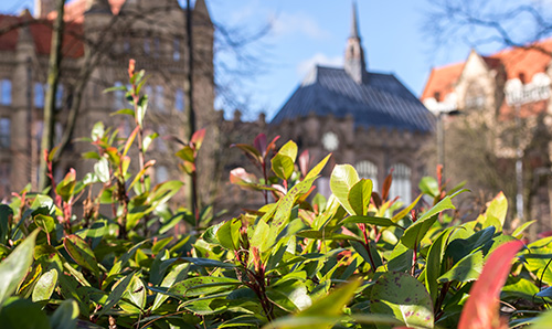 Greenery in the foreground and the University in the background